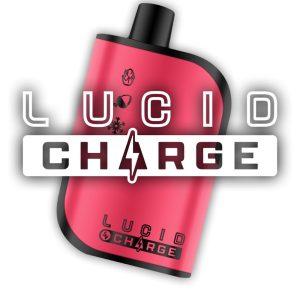 Lucid Charge Disposable Nicotine Vape 7000 puffs 14ml 5% Nicotine type C Charger